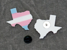 Load image into Gallery viewer, Texas Trans Pins
